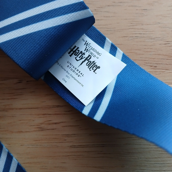 Slytherin Striped Lanyard - Picture 2 of 2